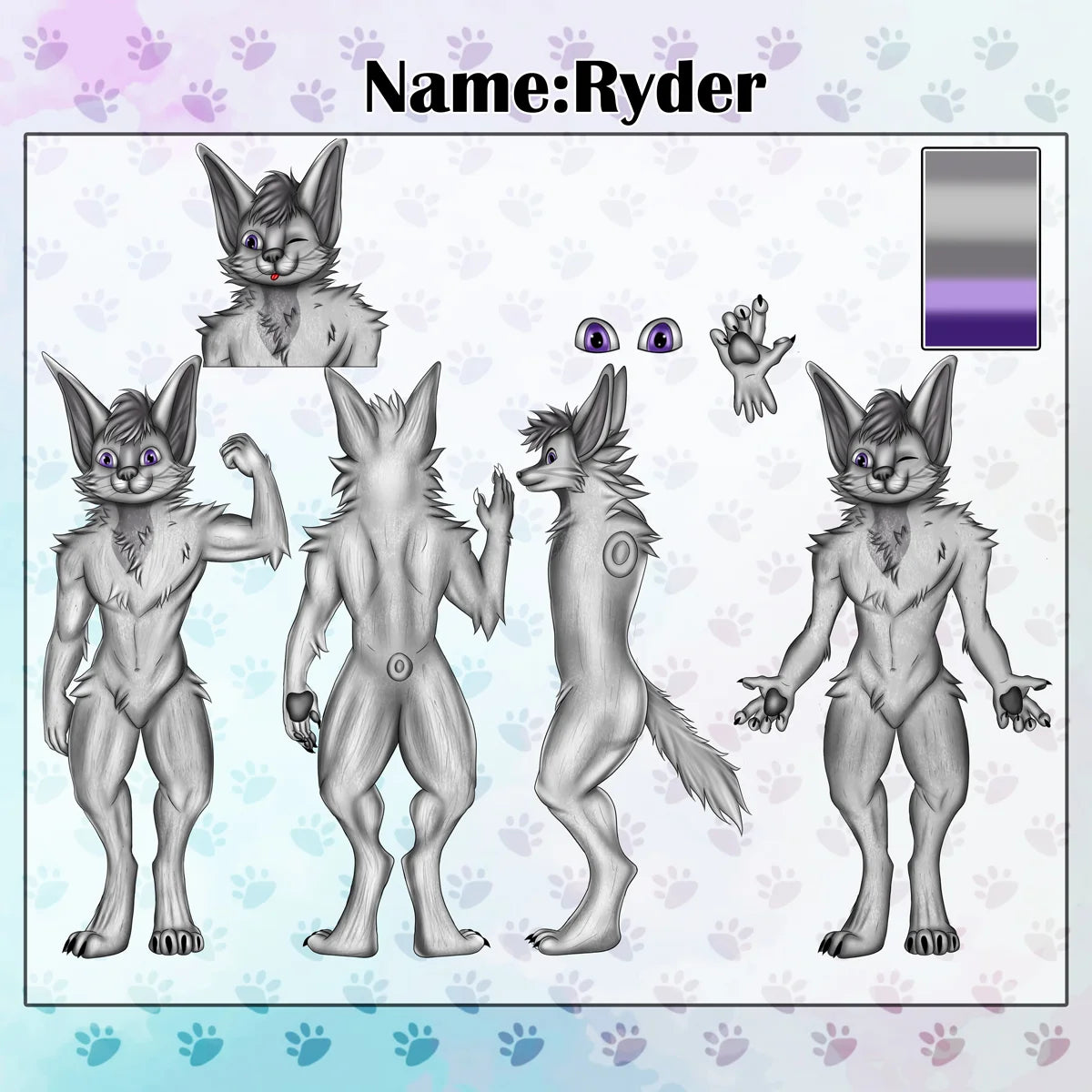 Ryder furry cat character reference sheet showing front, back and side views with purple eyes, fur details and color palette